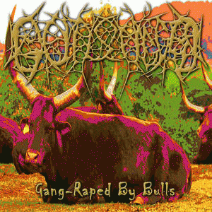 Gutsnagged : Gang-Raped by Bulls